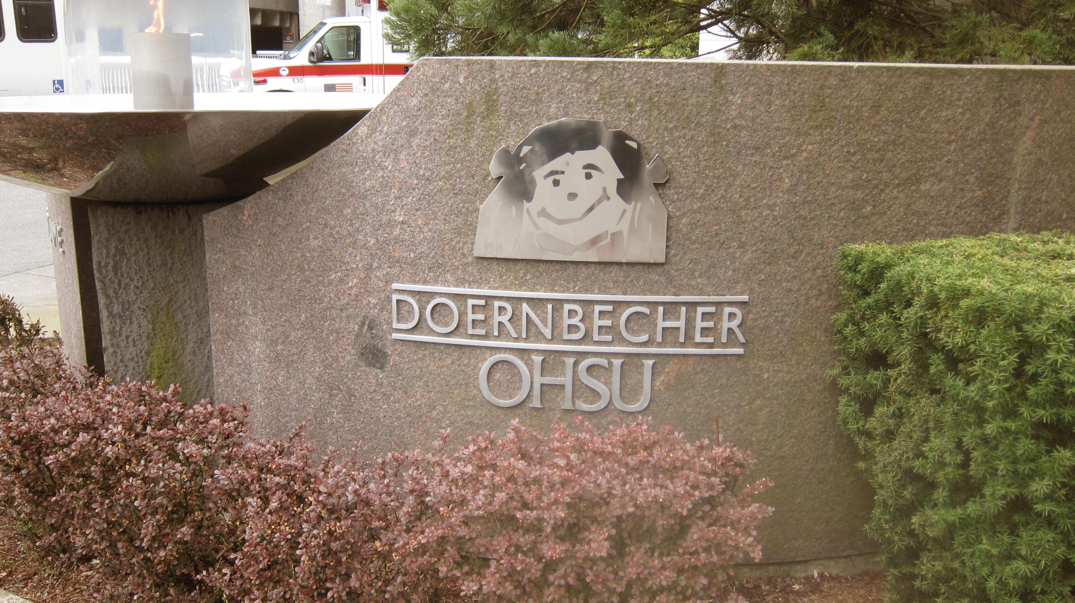 doernbecher what the
